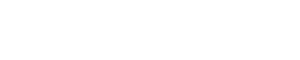 Advance Solutions LLC